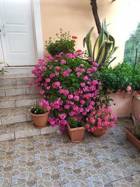 Вилла Garden Of Olive Trees Asfendiles Экстерьер фото